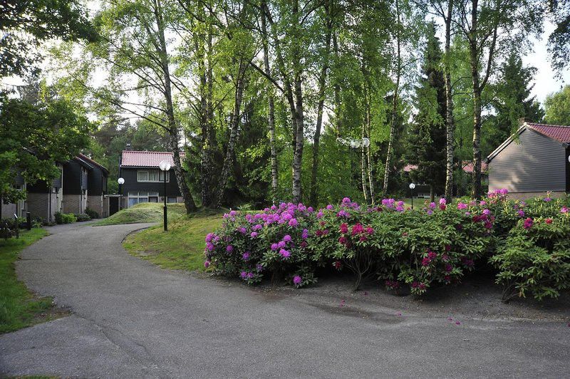 Fletcher Hotel Restaurant De Wipselberg-Veluwe Beekbergen Ngoại thất bức ảnh