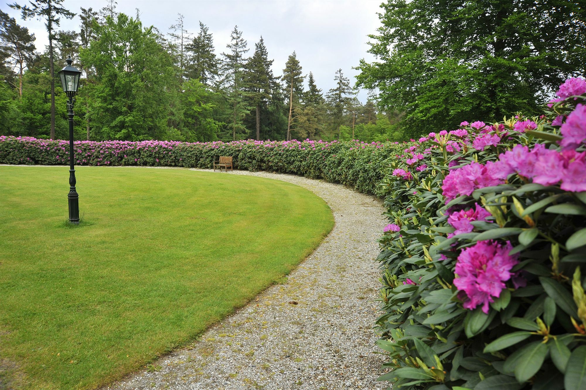 Fletcher Hotel Restaurant De Wipselberg-Veluwe Beekbergen Ngoại thất bức ảnh
